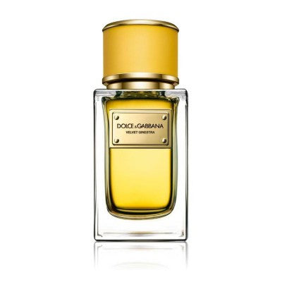 دولتشي أند غابانا فيلفت جينيسترا - او دي بريفيوم - 150 مل - عطر فاخر من توب جيت