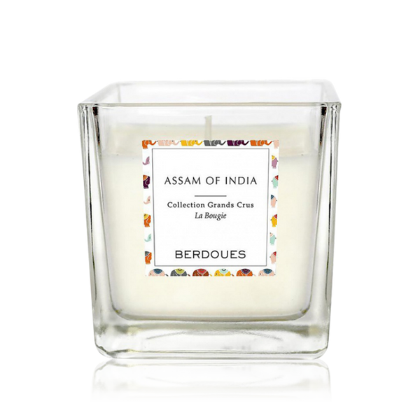 معطر الجو بيردويس كوليكشن جراندز كروز اسام اوف انديا - شمعة معطرة 180جرام برائحة منعشة ومثالية للمنزل والسيارة