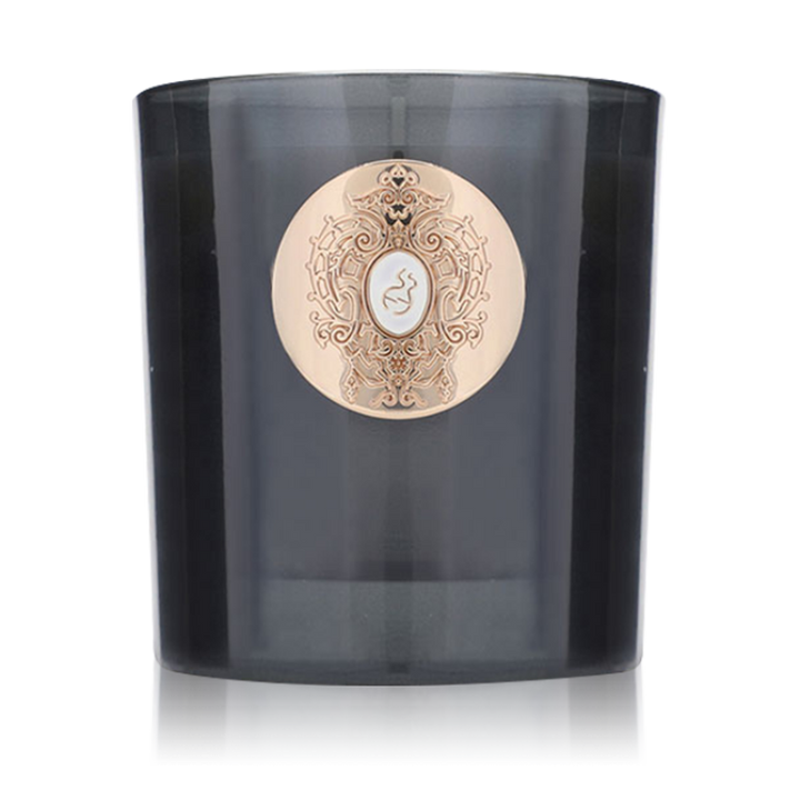 معطر الجو تيزيانا تيرينزي هيل كوميت لونا كوليكشن - شمعة معطرة 250جرام برائحة منعشة ومثالية للمنزل والسيارة