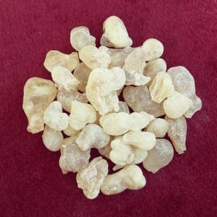 nan بخور فاخر وعطر شرقي أصيل من توب جيت